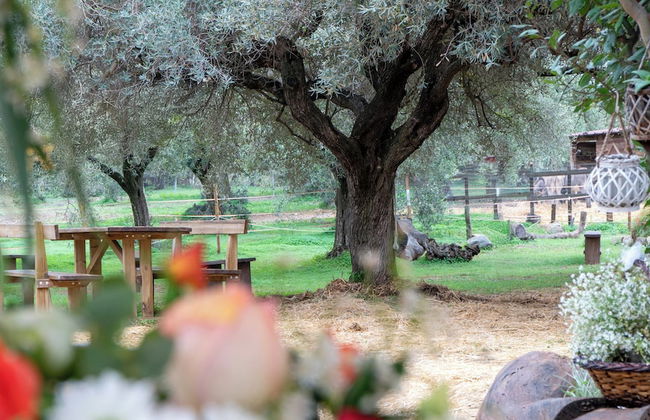 Su Leunaxiu - Foto 80