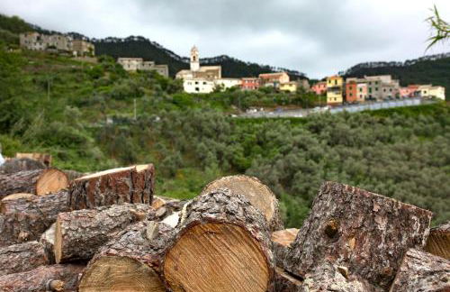 Casa Vacanze Tra Le Mura - Foto 10