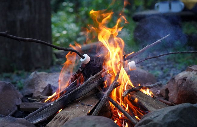 Carawirry Forest Escape - Foto 56