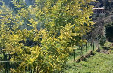 Garden Relax - Foto 2