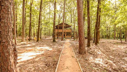 The Tree House - Foto 1, Garden