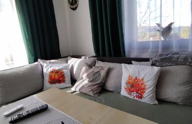 Urocze Apartamenty - Foto 9