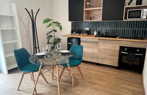 Studio Le Havre de Gentilly Nancy Laxou Zenith - Foto 12