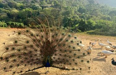 Flat HOTEL Pedra do Rodeadouro 1 andar - Foto 32