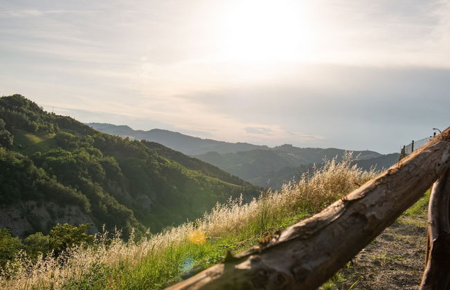 Agriturismo Podere Ceriano - Photo 62