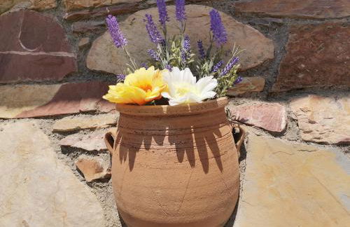 Ataviros Hotel - Foto 119