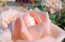 Morada das Mandalas - Foto 31