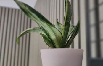 Studio rénové Nancy Brabois, proche CHRU campus - Foto 30