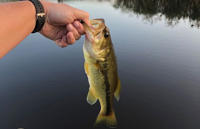 Kwetu Guest Farm - Photo 45