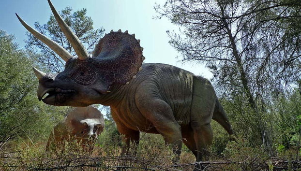 Oferta: Dreams Park Show al completo - Foto 2, Visitando el Valle de los Dinosaurios