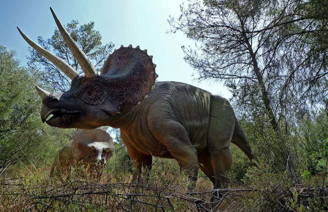 Oferta: Dreams Park Show al completo - Foto 2