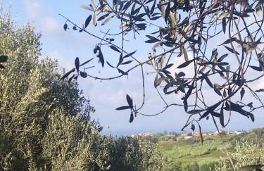 Villa degli Ulivi - Foto 22