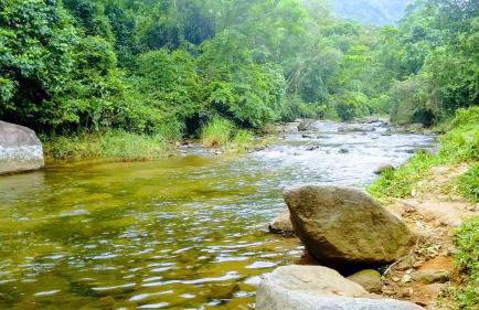 Condado Aldeia dos Reis - Foto 49