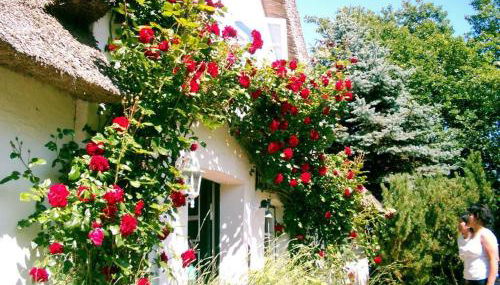 Gästehaus Andresen-Warft - Photo 4