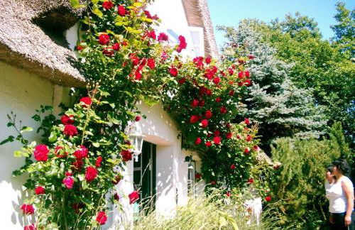 Gästehaus Andresen-Warft - Photo 4