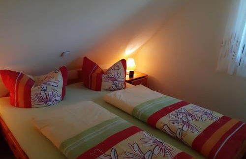 Auf dem Hufen - Foto 11