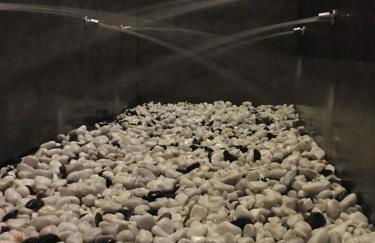 Hostal Rural La Botería - Foto 16