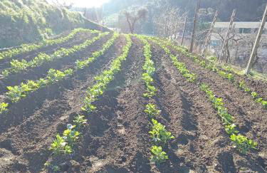 Agriturismo Cele - Foto 34