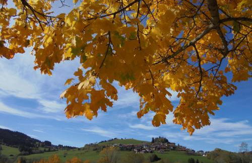 Ferienwohnung Sonnenbichel - Photo 32