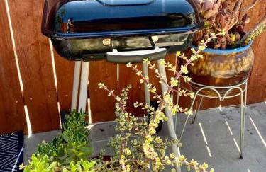 Hidden Gem LA 2bd house with dreamy backyard - Foto 5