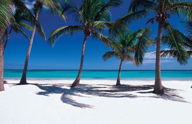 Luxury Cap Cana Apartment - Foto 26