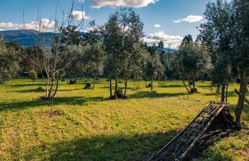 Quinta-lina de serpins - Foto 60