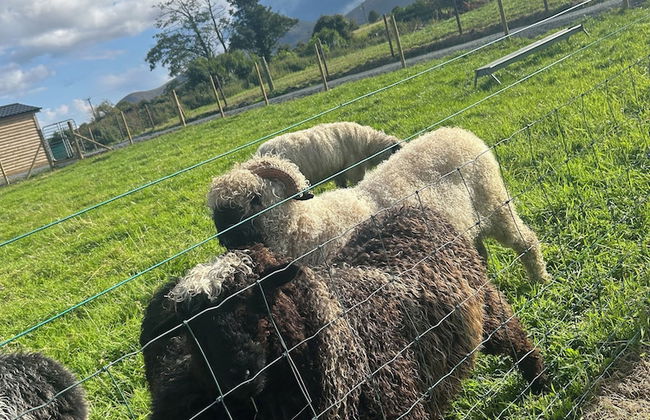 Bambi's Hideaway - Foto 14