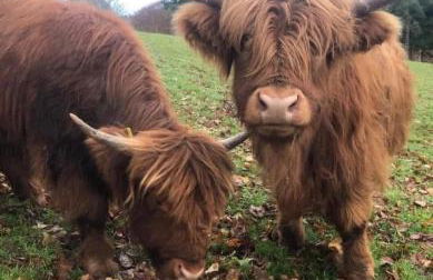 The Farmers den lodge at River Garry Lodges - Foto 5