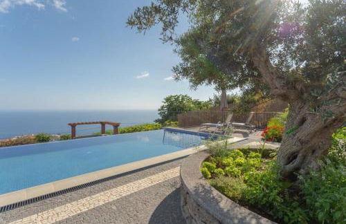 Villa Miradouro da Baleia (Heated Pool optional) - Foto 1