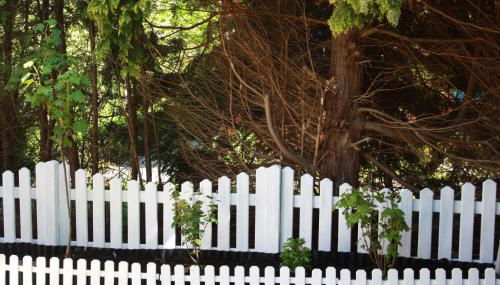 Ferienhaus Austernfischer - Foto 3