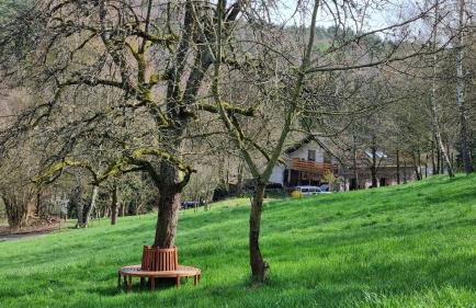 Ferienwohnung Am Kirchberg - Foto 9