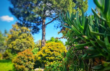 AgriBio Villa Ribes - Photo 42