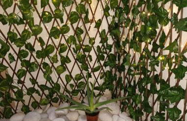 Estudio A cerca del Auditorio y el Mercado Central de Alicante - Photo 7