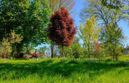 Hoffmanns-Hof-Sinspert - Foto 42