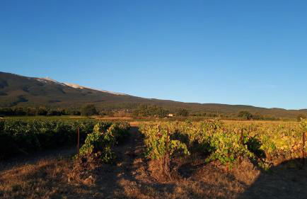 La Carriera, petite maison Provençale sud Ventoux, climatisée - Photo 25