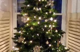 Charming cottage in Snowdonia - Foto 66