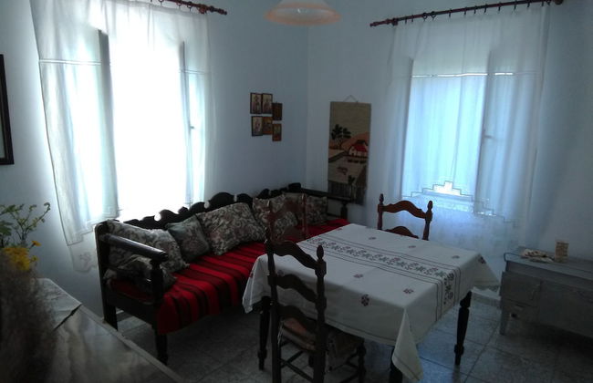 Garden Of Olive Trees - Photo 10