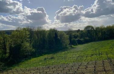 La Teyssière - Foto 25