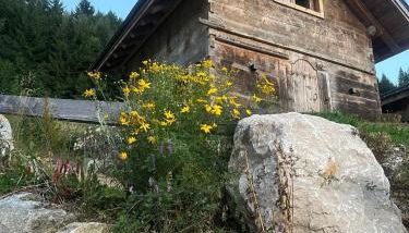 Mazot de la Pointe Percée - Foto 2