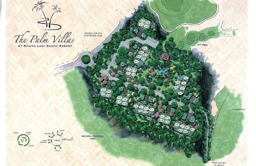 Mauna Lani Palm Villas D-2 Corner Unit Historic View - Foto 44