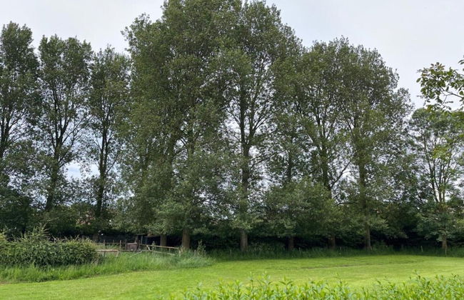 Rural Holiday Home With Outdoor Pool & Sauna - Foto 39