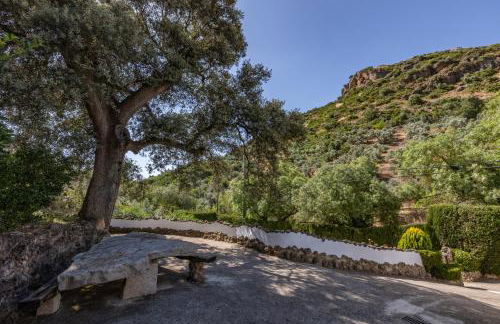 Cortijo el Chaparro - Foto 4
