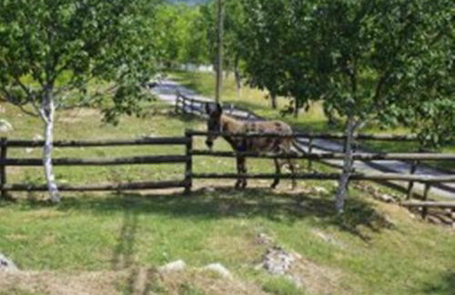 Apartment Goran - Foto 17