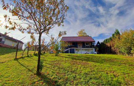 Holiday House Gajski Vrh - Foto 40