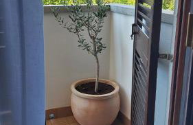 Apartments Villa Mirjam - Foto 14