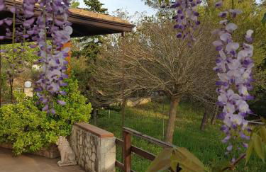 Casa vacanze Villa Tiziana Chalet di campagna - Foto 18