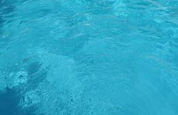 Casa Rural A la Vera de Monfrague - Foto 2