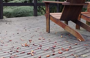 Bangalô dos Alpes de São Chico - Foto 20