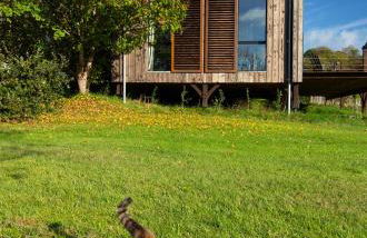 Le séchoir de Valadon - Foto 12