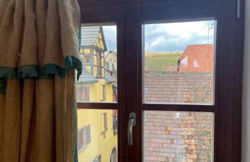 La Maison Bleue - Historic House in the Heart of Riquewihr - Foto 52